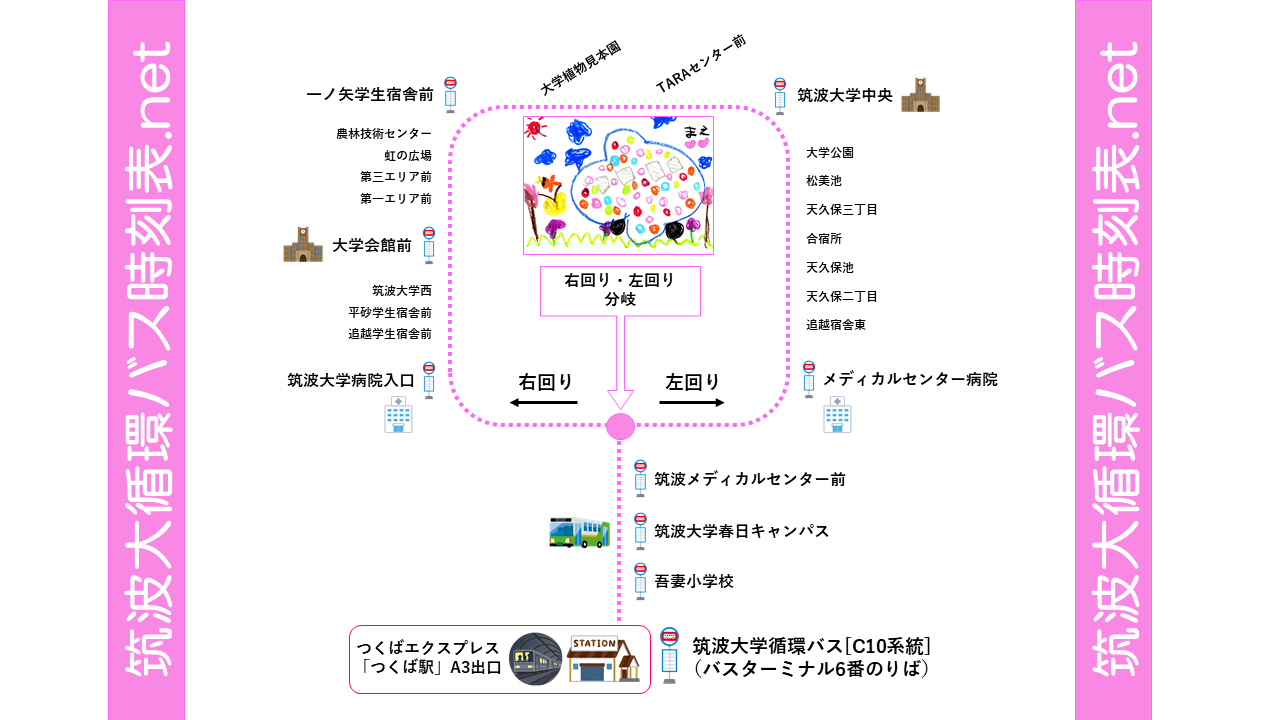 松美池 [C10 右回り]  筑波大学循環バス時刻表（スマホ対応）C10系統